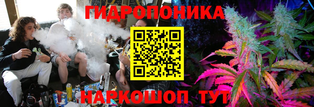 Бошки Шишки семена Люберцы